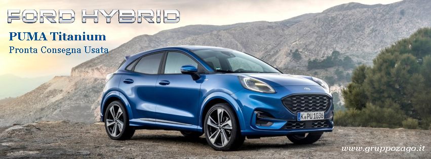 Ford Puma Ibrida Usata - Gruppo Zago